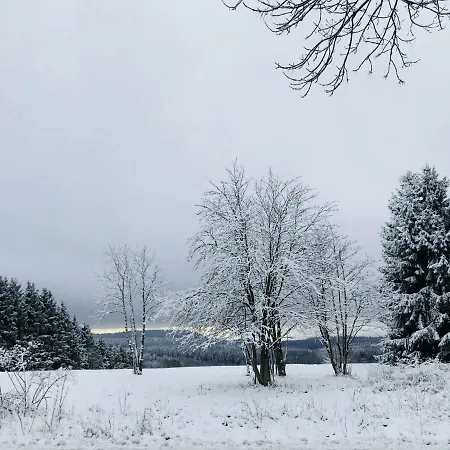 Vakantiehuis Blockhaeuser Harzblick *