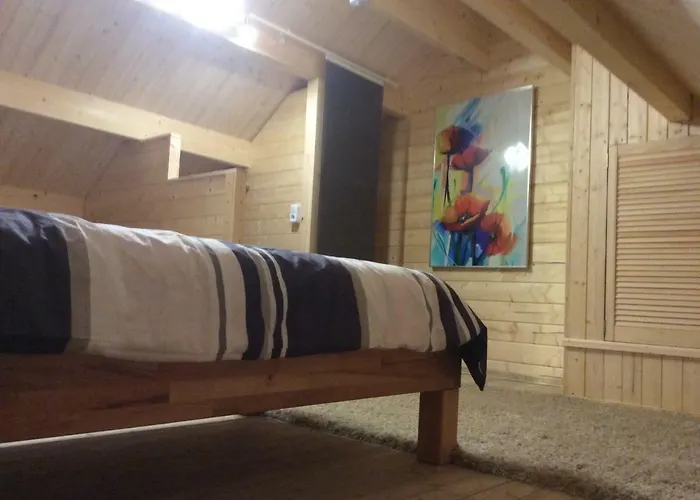 Tatil Evi Blockhaeuser Harzblick