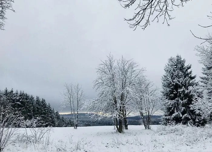 度假居 Blockhaeuser Harzblick *