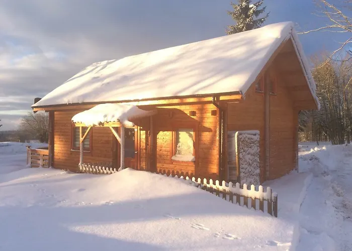 Blockhaeuser Harzblick Tatil Evi