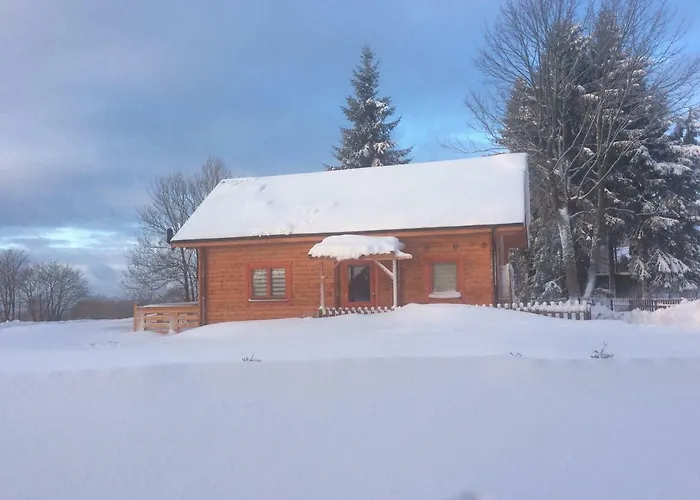 Tatil Evi Blockhaeuser Harzblick Hohegeiß