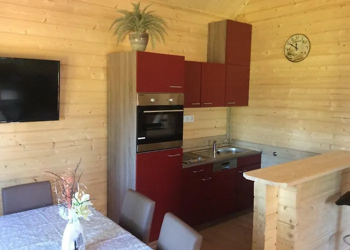 Blockhaeuser Harzblick Tatil Evi